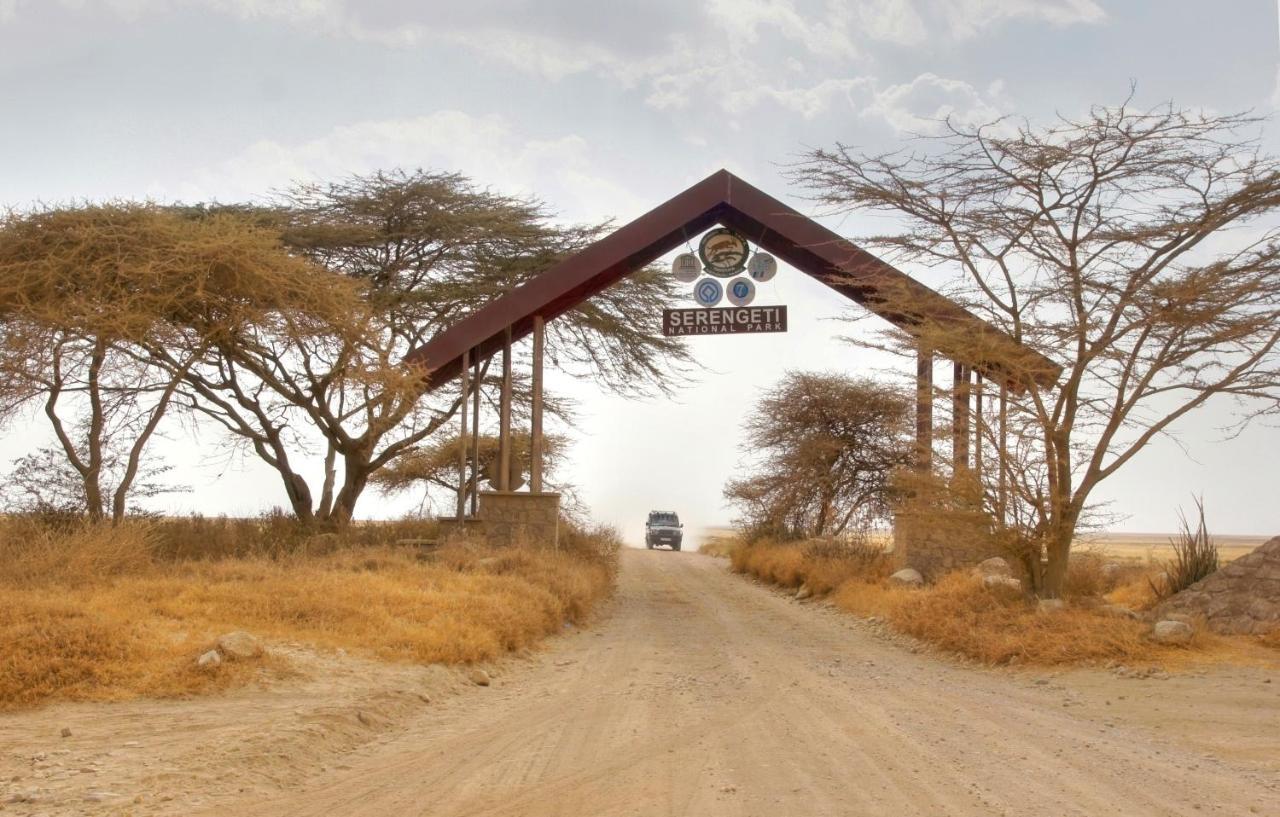 Africa Safari South Serengeti Ndutu Ngorongoro Sinoni Luaran gambar