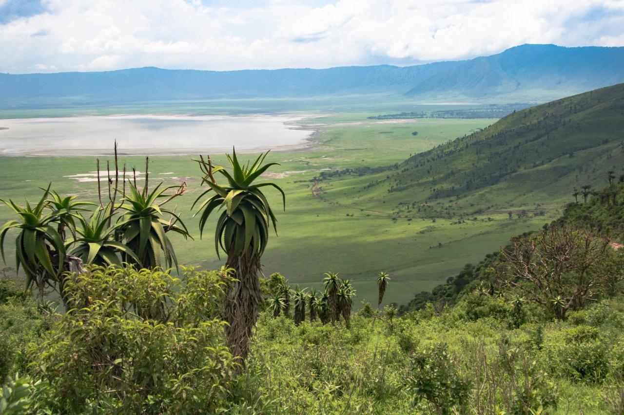 Africa Safari South Serengeti Ndutu Ngorongoro Sinoni Luaran gambar