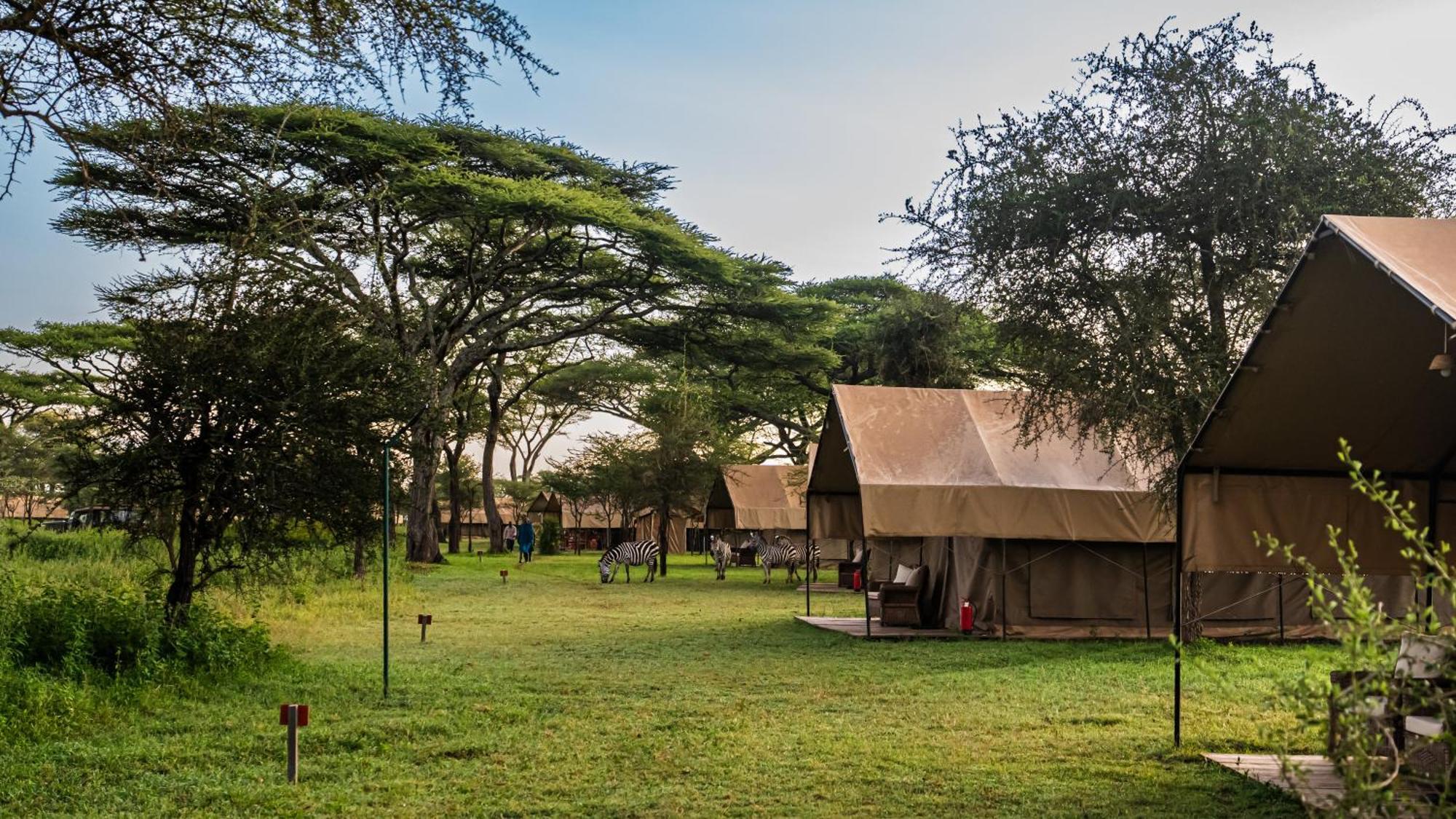 Africa Safari South Serengeti Ndutu Ngorongoro Sinoni Luaran gambar