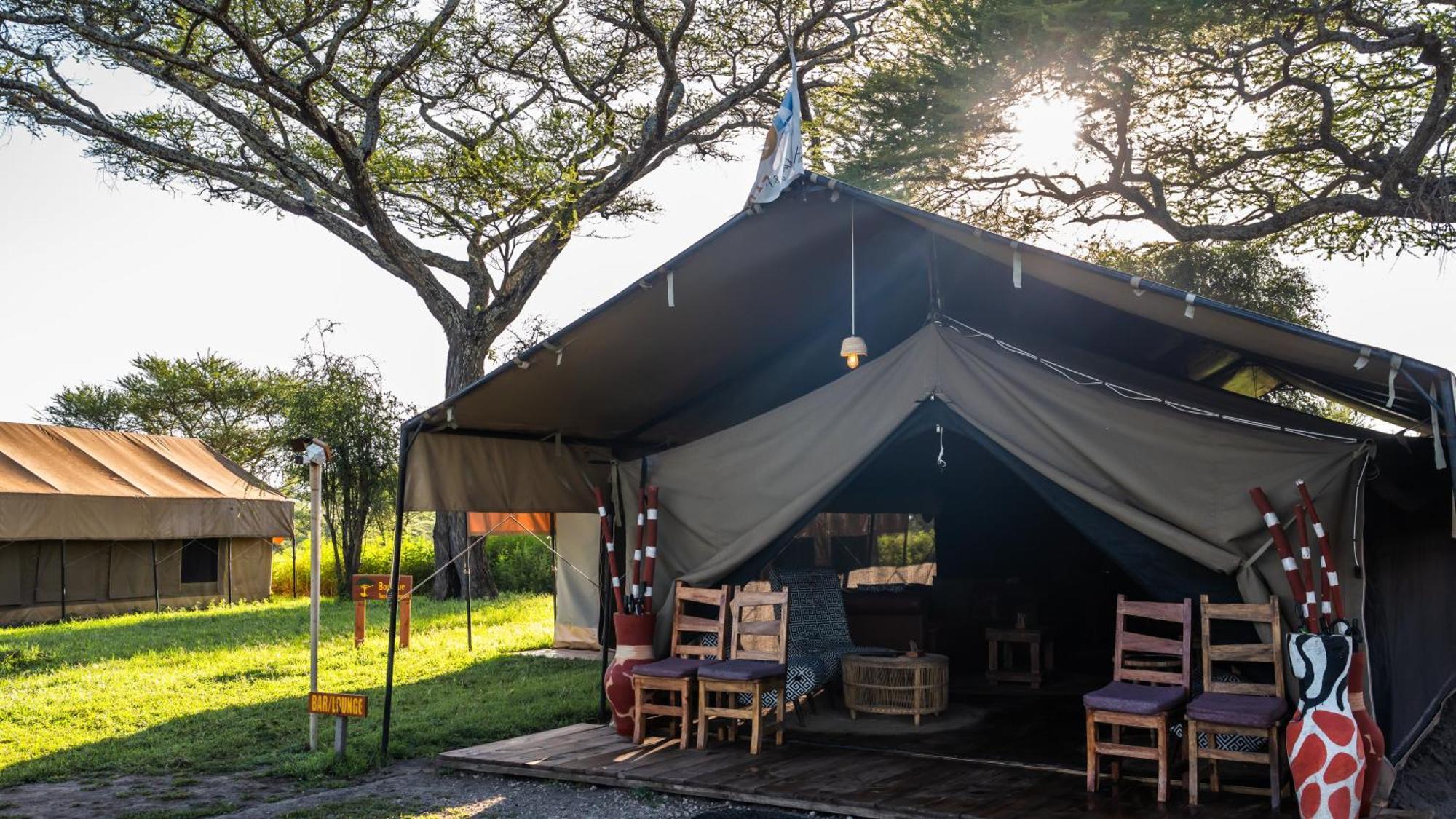 Africa Safari South Serengeti Ndutu Ngorongoro Sinoni Luaran gambar