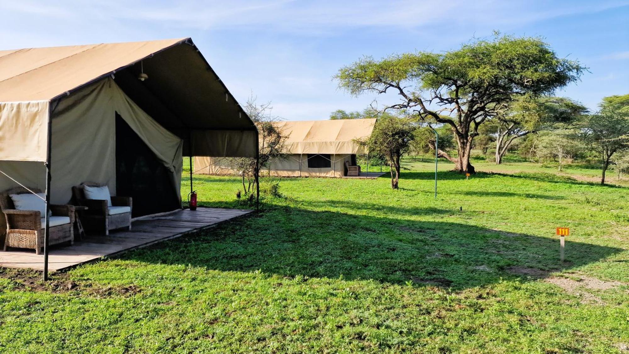 Africa Safari South Serengeti Ndutu Ngorongoro Sinoni Luaran gambar