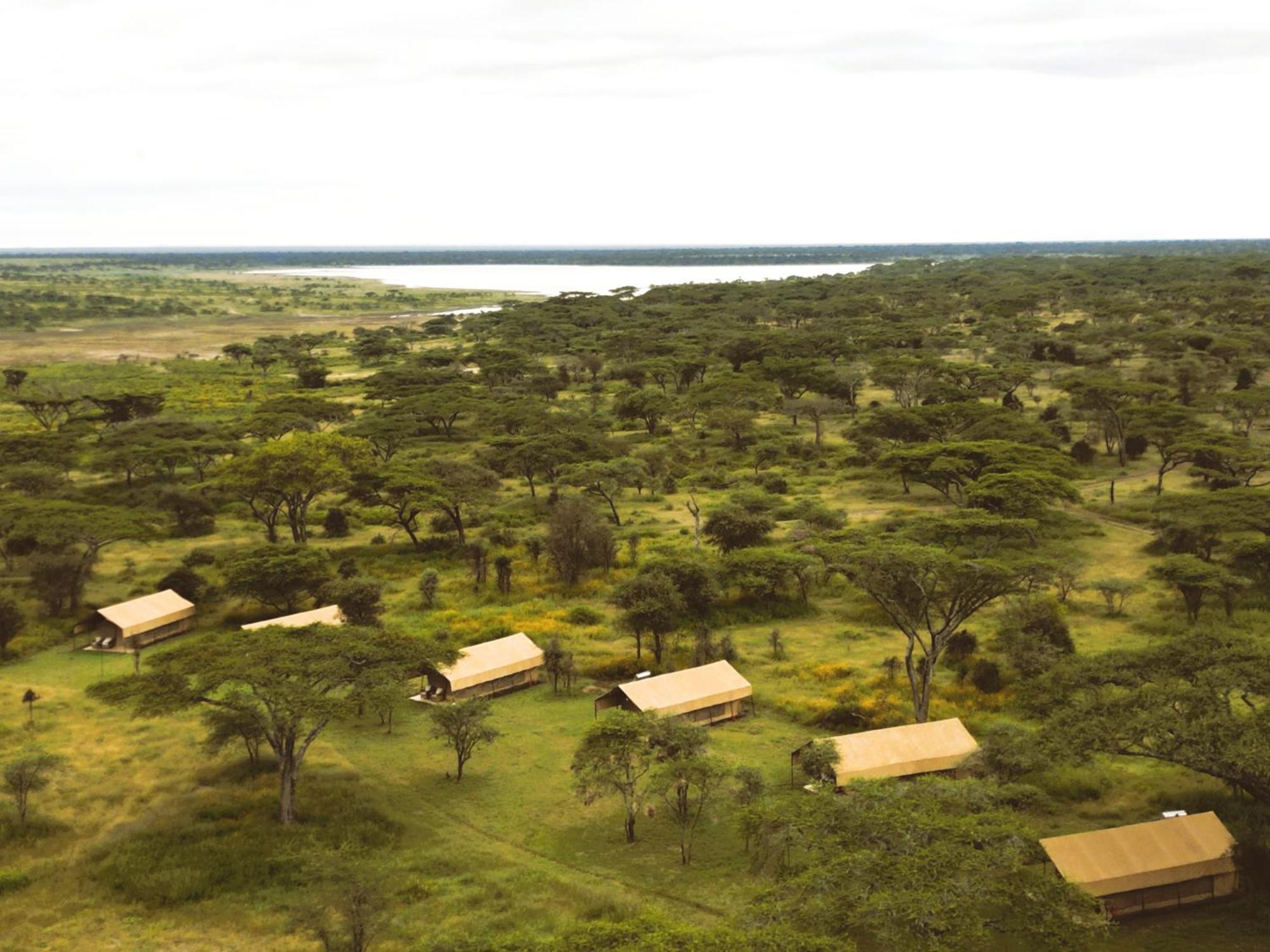 Africa Safari South Serengeti Ndutu Ngorongoro Sinoni Luaran gambar