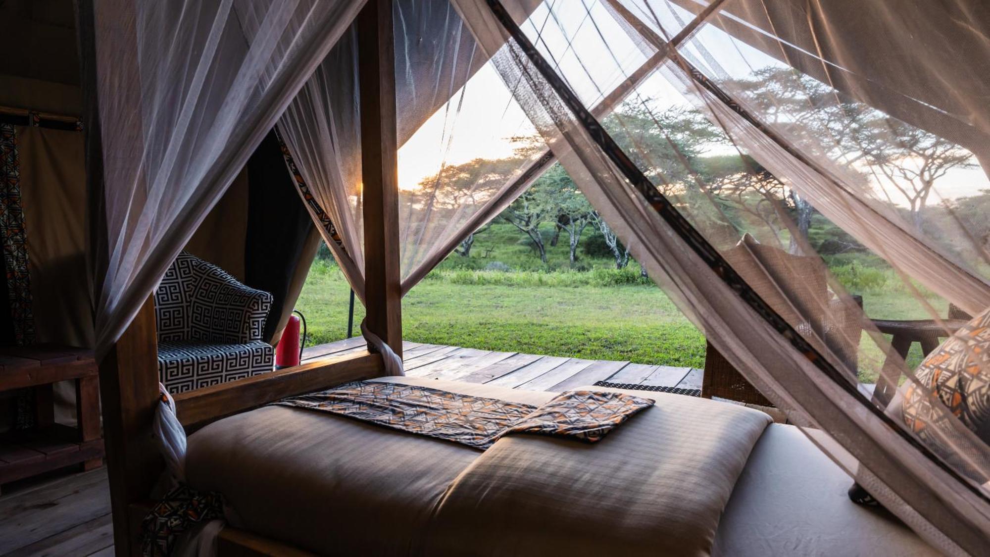 Africa Safari South Serengeti Ndutu Ngorongoro Sinoni Luaran gambar